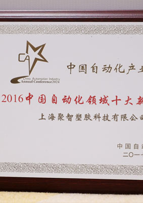 Certificate 313