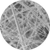 Fiber